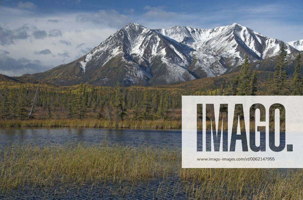 St. Elias Range, near Snag, Yukon Territory along the Alaska Highway, Canada. September. acp77428 Photography