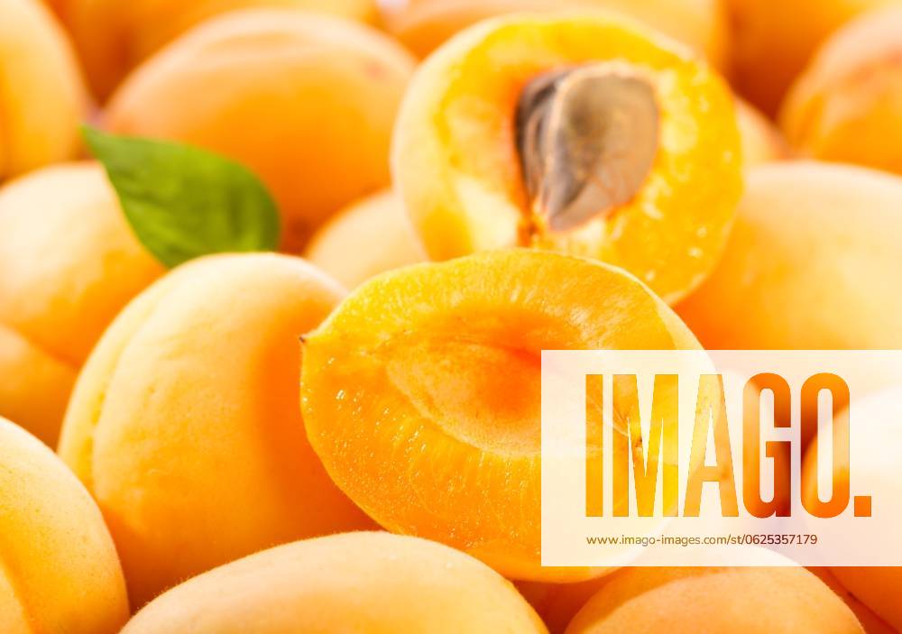 Fresh apricots ,model released, Symbolfoto; Frisch Aprikosen ,model released, Symbolfoto ING_36820_00329 RECORD DATE NOT STATED