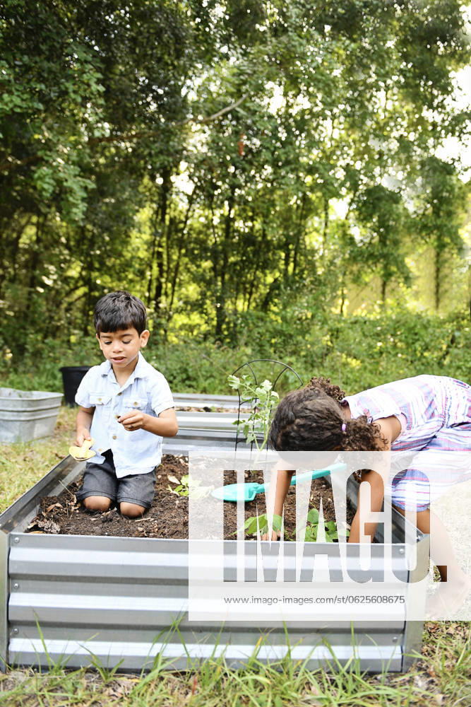 IMAGO Creative, Sommer, Sommertage im Garten Siblings gardening together in raised beds, planting and digging United States, Florida, Inverness CR_YWQX240621D-1460774-01 ,model released, Symbolfoto