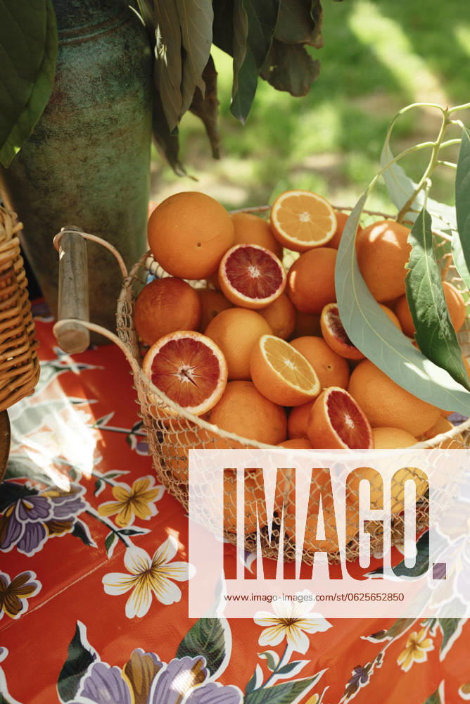 IMAGO Creative, Lifestyle, Feste im Garten #2 Basket of oranges on floral tablecloth San Diego, California, United States R_QCYJ240623-1467771-01