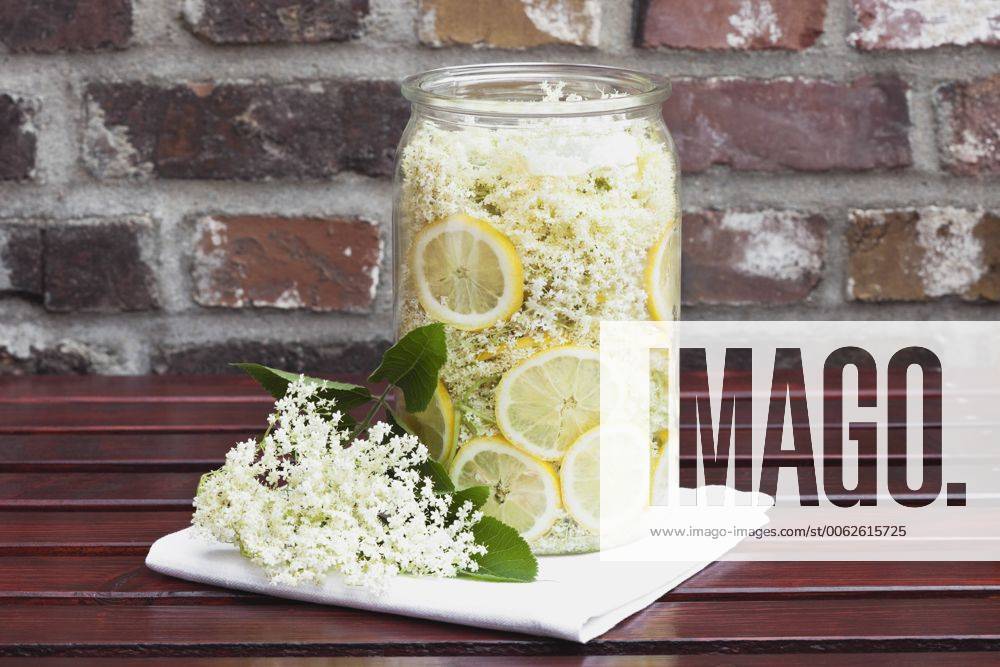 White elderflowers and lemon in glass bowl, edible flowers, European Black Elder (Sambucus nigra), making of elder sirup GWF002532