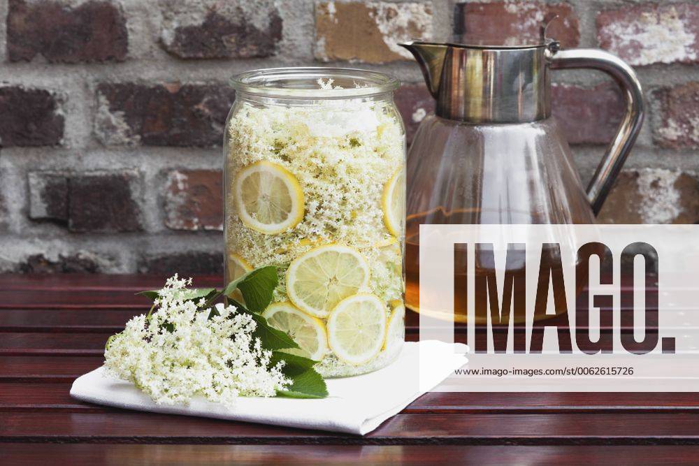 White elderflowers and lemon in glass bowl, edible flowers, European Black Elder (Sambucus nigra), making of elder sirup GWF002533