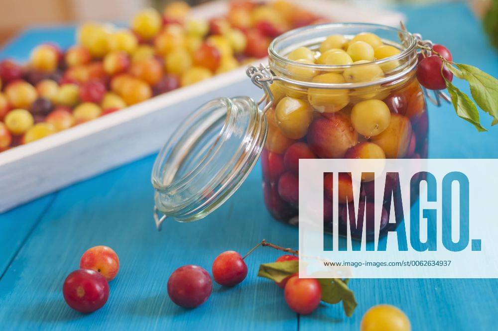 Food, Trend, Einwecken Fermentieren Einkochen Einlegen Mirabelles in a jar MJF000393