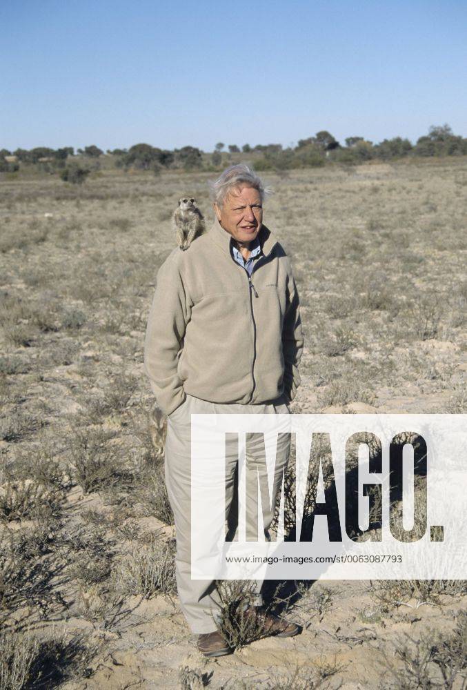 IMAGO ICONS: Sir David Attenborough Sir David Attenborough mit Erdmännchen auf der Schulter, Filmarbeiten für BBC-Serie Life of Mammals, Kalahari, Provinz Nordkap, Südafrika iblsew04018481
