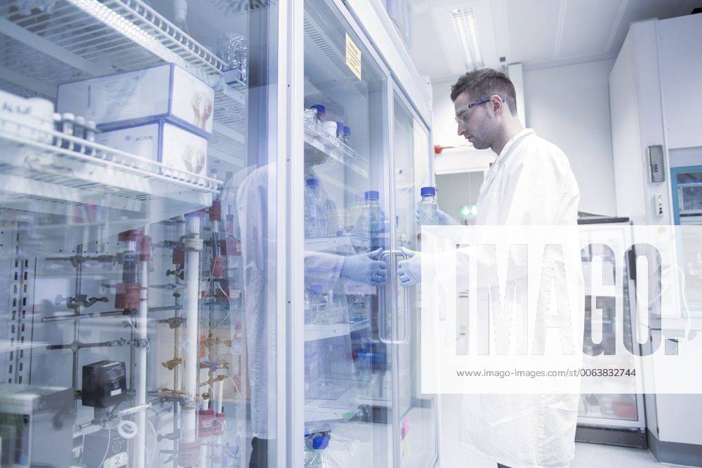 Scientist in microbiological lab opening fridge model released Symbolfoto property released SGF001324