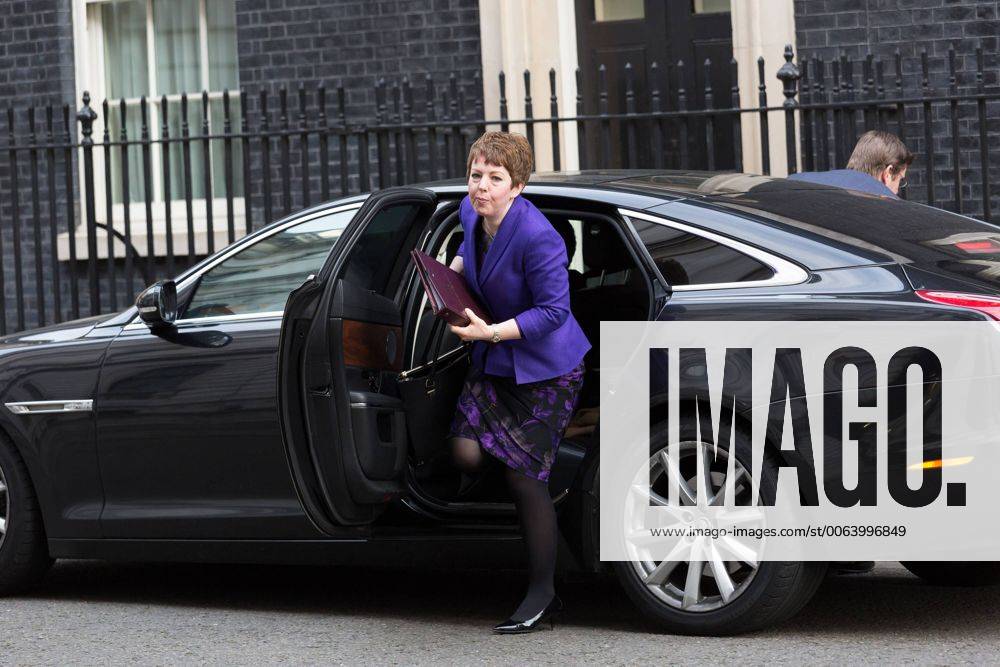 London, London, UK - London, UK. Baroness Stowell arrives for a cabinet meeting at 10 Downing Street in London on Tuesday 10th March 2015. London UK - ZUMAl94_