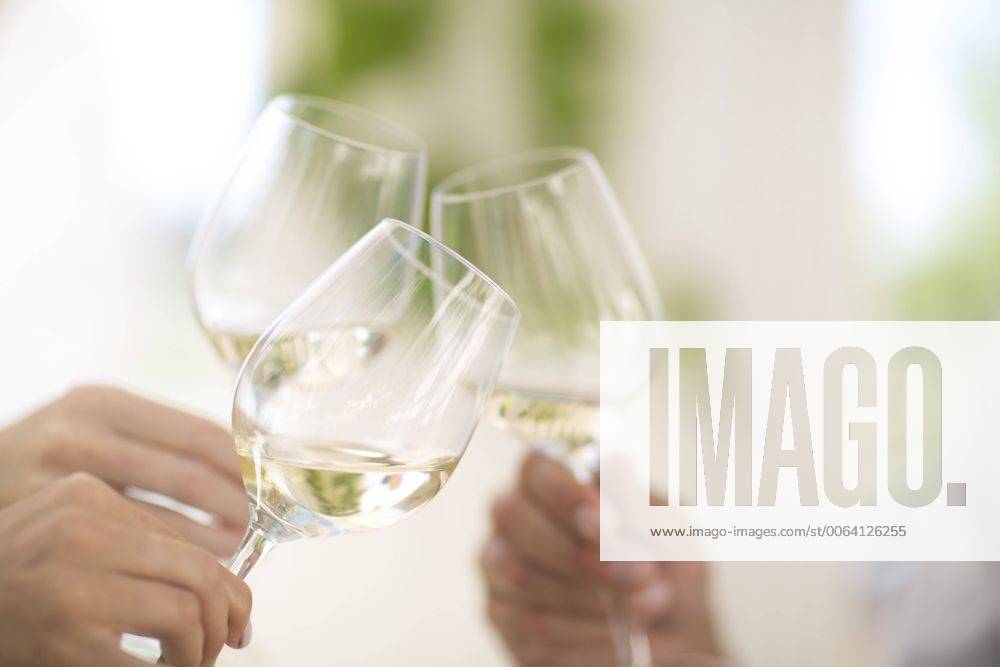 Hands holding glasses of white wine model released Symbolfoto property released ZEF003199