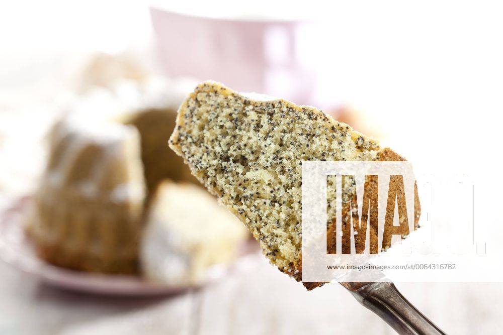 IMAGO Creative: Food, Mohn Piece of poppy seed cake CSF024900