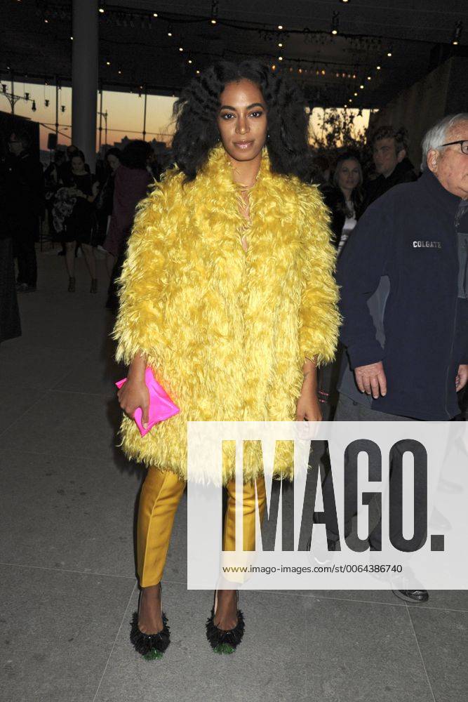 Solange Knowles beim Dinner zur Neueröffnung des Whitney Museum of American Art an neuem Platz, präsentiert von Max Mara. New York, 24.04.2015 Foto:xD.Tinex xFuturexImage
