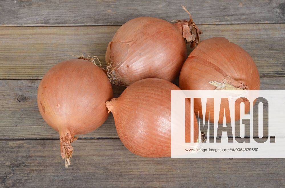 Zwiebel, Kuechenzwiebel, Kuechen-Zwiebel, Speisezwiebel, Speise-Zwiebel, Gartenzwiebel, Garten-Zwiebel, Hauszwiebel, Haus-Zwiebel (Allium cepa), vier Grano Zwiebeln Garden onion, Bulb Onion, Common Onion (Allium cepa), four Grano onions BLWS397669