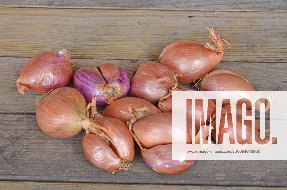 Zwiebel, Kuechenzwiebel, Kuechen-Zwiebel, Speisezwiebel, Speise-Zwiebel, Gartenzwiebel, Garten-Zwiebel, Hauszwiebel, Haus-Zwiebel (Allium cepa), frische Schalotten Garden onion, Bulb Onion, Common Onion (Allium cepa), fresh shallots BLWS397677