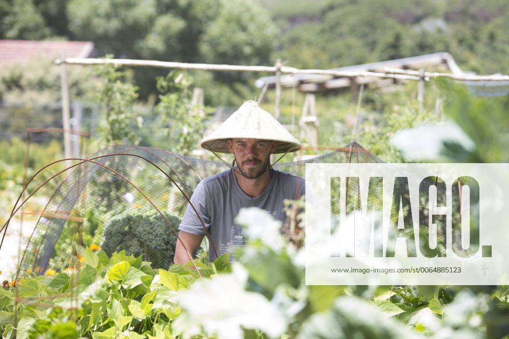 IMAGO Creative, Jahreszeit Sommer, Sonnenschutz Gardener with Asian hat at work model released Symbolfoto property released ZEF004046