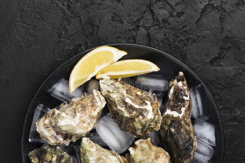 Top view plate with oysters lemon slices. High quality and resolution beautiful photo concept, Top view plate with oysters lemon slices. Resolution and high quality beautiful photo