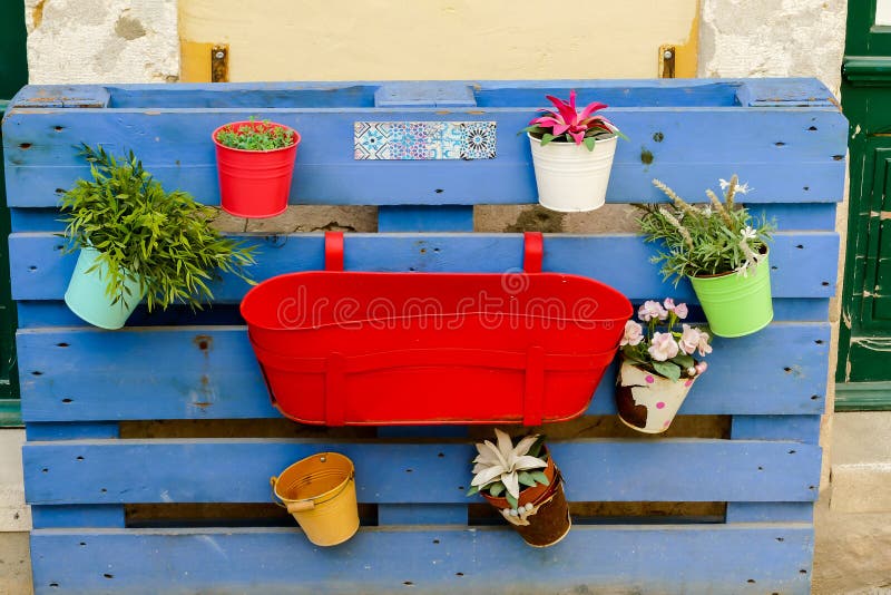 Flowers in pots, in Lisbon Capital City of Portugal, flowers in pots, beautiful photo digital picture