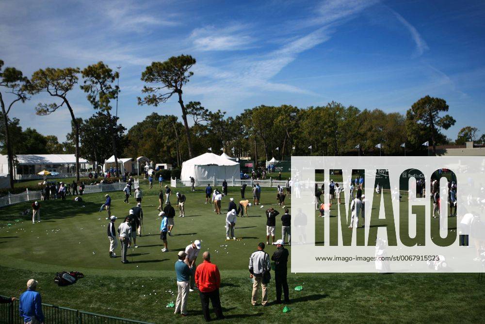 Palm Harbor, Florida, U.S. - DOUGLAS R. CLIFFORD TIMES.The practice putting green is loaded with players Wednesday (3 13 13) before competing in the Tampa Bay Championship at Innisbrook s Copperhead Golf Course in Palm Harbor. - ZUMAs70