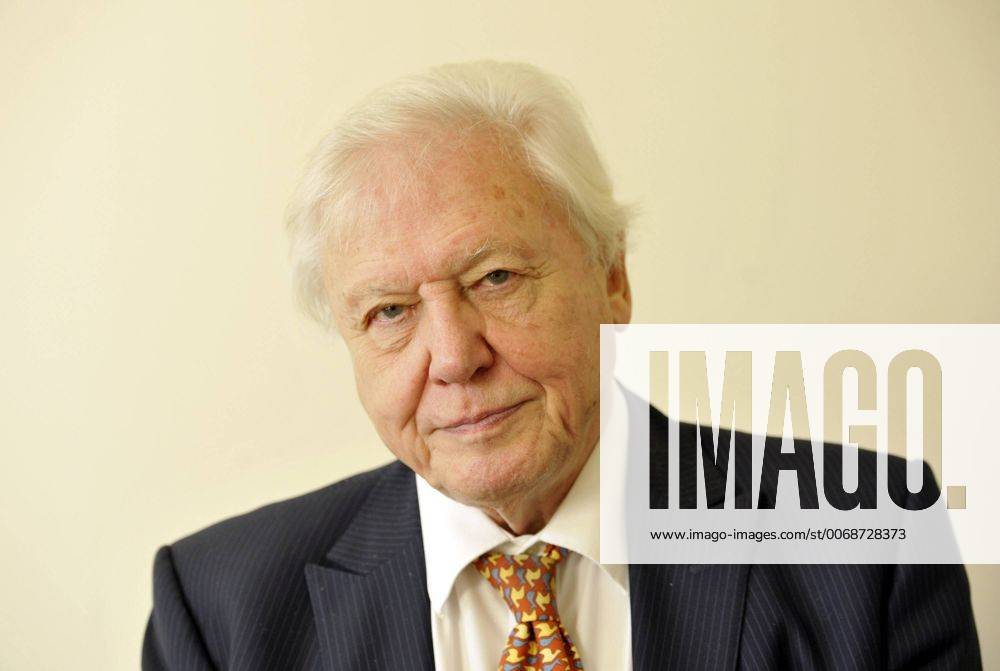 IMAGO ICONS: Sir David Attenborough Dec. 17, 2013 - Bristol, Bristol, UK - Bristol, UK. Bristol gives the cityâ??s highest honour to Sir David Attenborough at an extraordinary full council meeting on Tuesday, December 17. Sir David Attenborough is widely recognised as the worldâ??s greatest natural history programme maker. The decision to award the Freedom of the City follows a close association between Bristol, the BBCâ??s Natural History Unit (based in Bristol) and the renowned naturalist and film-maker. Freedom of the City will mean that Sir David Attenboroughâ??s name is added to the Roll of Honorary Freemen of the City. Sir David Attenboroughâ??s career as a naturalist and broadcaster has spanned nearly six decades and there are very few places on the globe he has not visited. 17 December 2013..Photo credit : Simon Chapman LNP - ZUMAl94_