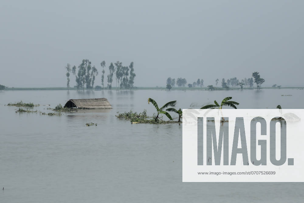 Flood In Bangladesh A house is being submerged by flood water in Kurigram, Bangladesh, on July 7, 2024. Kurigram Bangladesh