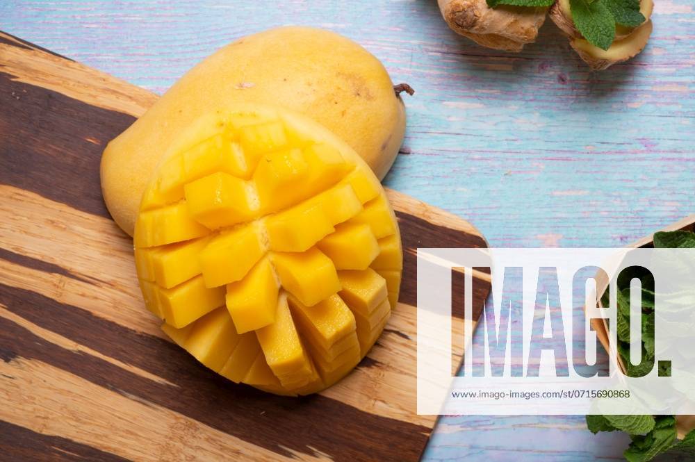 Ripe and fresh yellow mango fruit with ginger and mint herb at blue table ,model released, Symbolfoto