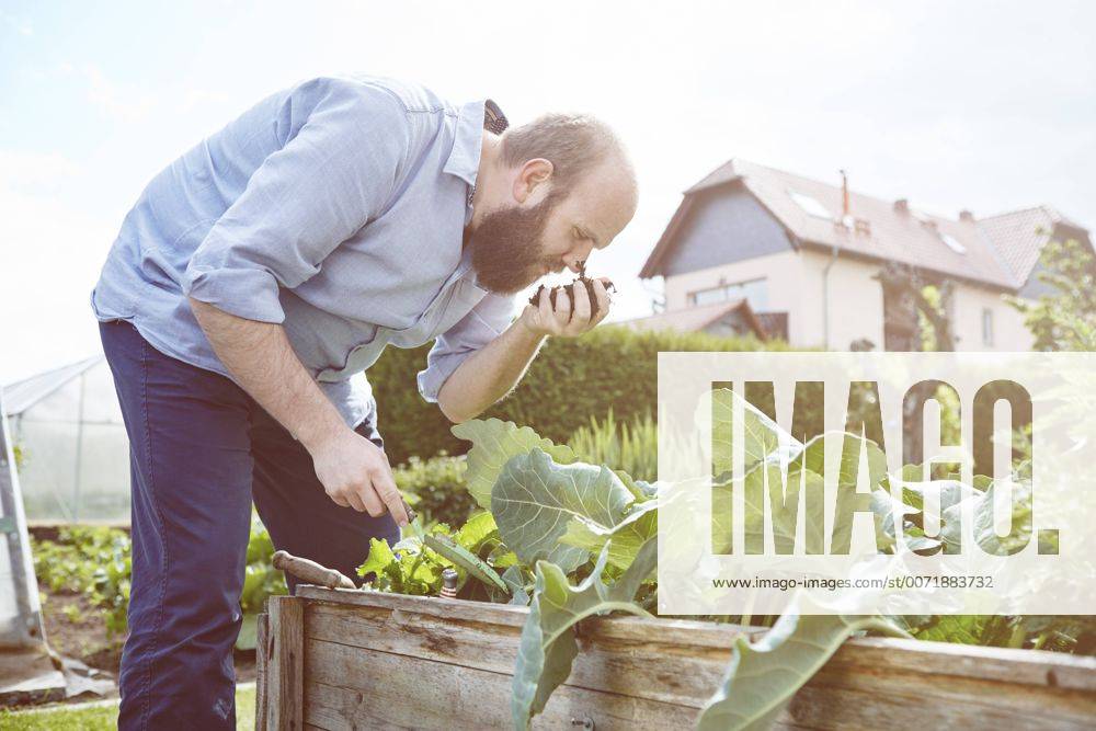 Young man working in garden, smelling fresh soil model released Symbolfoto property released SEGF000551