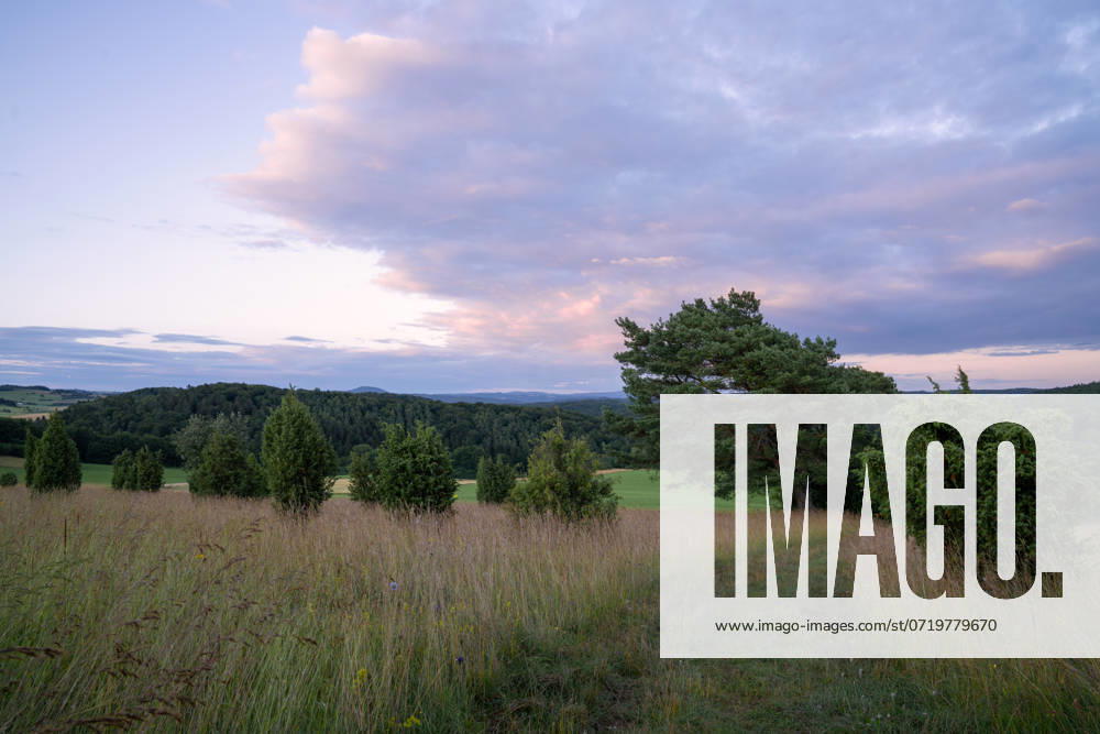Panoramabild der Sommerlandschaft in der Eifel bei Blankenheim bei Sonnenaufgang, Nordrhein-Westfalen, Deutschland