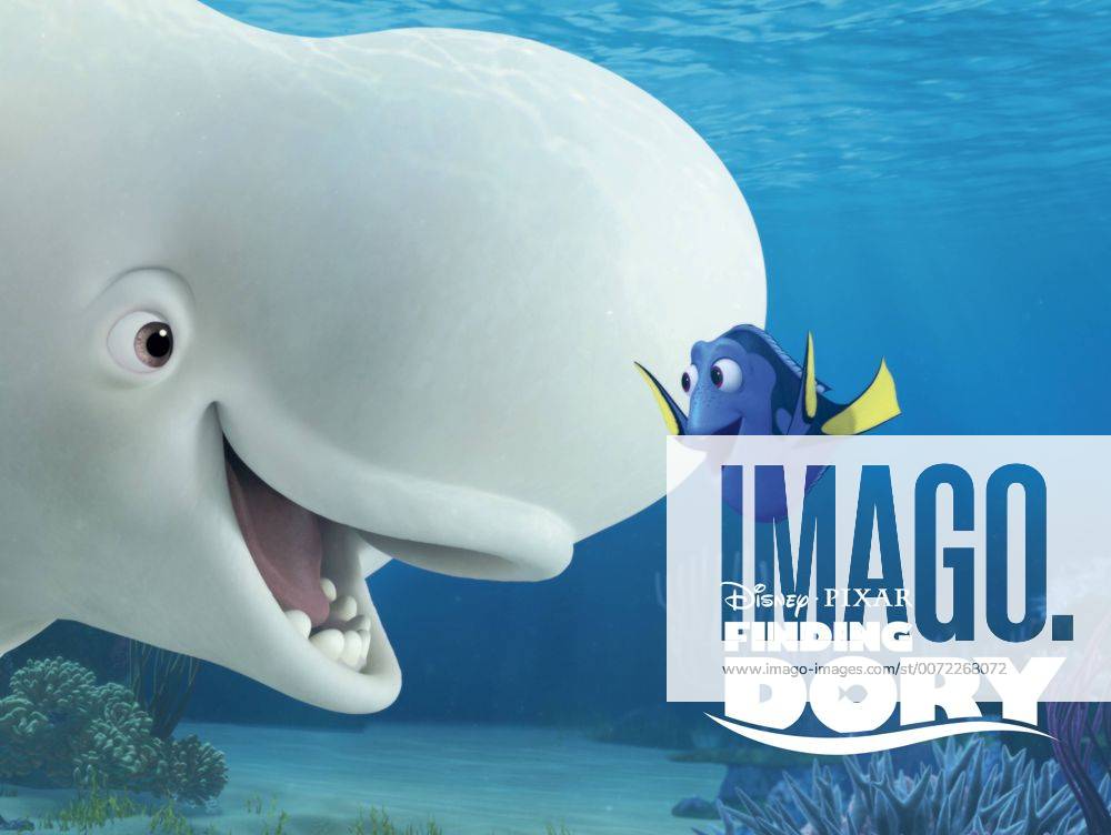 RELEASE DATE: June 17, 2016 TITLE: Finding Dory STUDIO: U.S. - ZUMAg90_