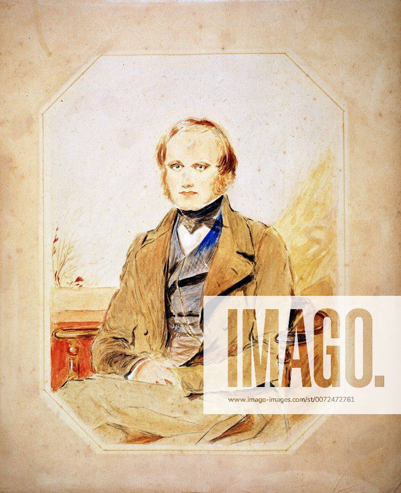 Charles Darwin (1809-82) English naturalist. Evolution by Natural Selection . Watercolour after portrait by George Richmond. WHA !ACHTUNG AUFNAHMEDATUM GESCHÄTZT!