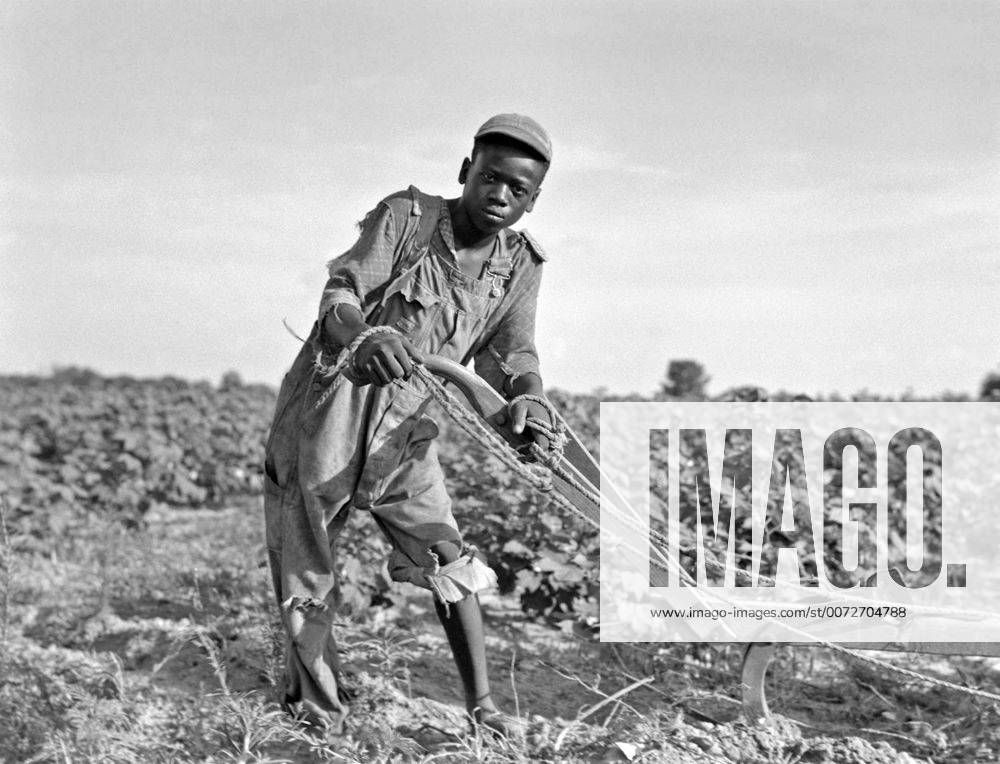 Dorothea Lange: teenage sharecropper in a field in Georgia, Usa in the Great Depression Era 1937 WHA !ACHTUNG AUFNAHMEDATUM GESCHÄTZT!
