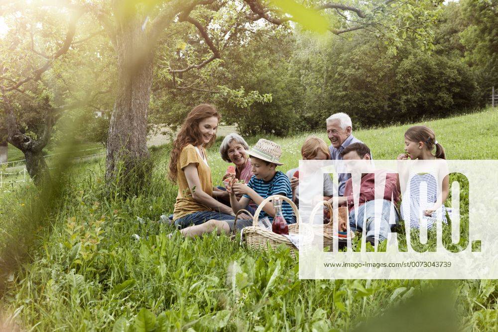 Extended family having a picnic in meadow model released Symbolfoto RBF004782