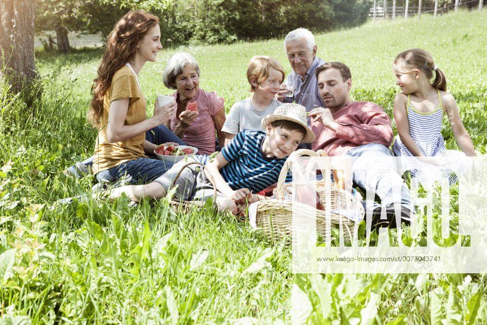 Extended family having a picnic in meadow model released Symbolfoto RBF004783