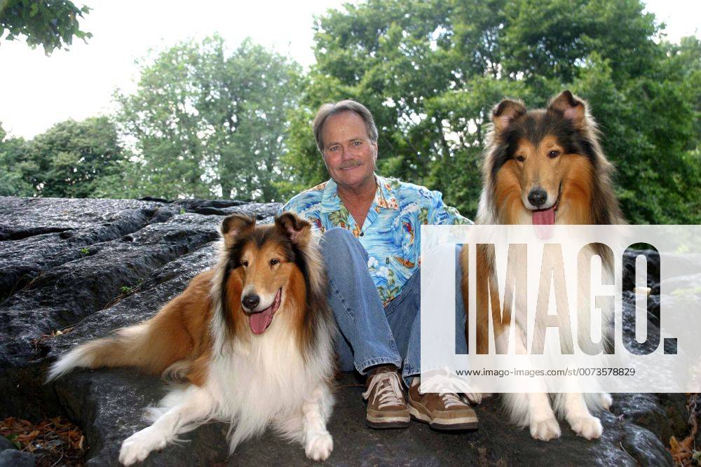 Aug. 5, 2008 - New York, New York, U.S. - I13561BT.JOHN PROVOST (TIMMY OF LASSIE FAME) CELEBRATES HIS BOOK TIMMY S IN THE WELL, THE JOHN PROVOST STORY .NEW YORK New York 08-05-2008. - - PHTOS, INC. Â - ZUMAta1_