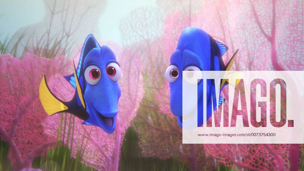RELEASE DATE: June 17, 2016 TITLE: Finding Dory STUDIO: DIRECTOR: Andrew Stanton, Angus MacLane PLOT: The friendly-but-forgetful blue tang fish reunites with her loved ones, and everyone learns a few things about the real meaning of family along the way STARRING: Ellen DeGeneres, Albert Brooks, Ed O Neill (Credit: © Pixar Entertainment Pictures ZUMAPRESS.com Los Angeles U.S. - ZUMAg90_