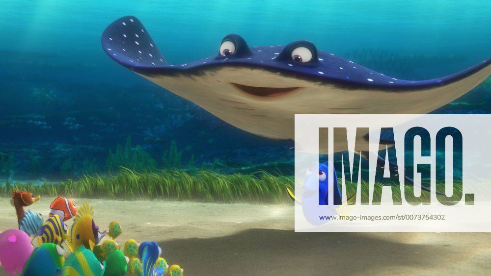 RELEASE DATE: June 17, 2016 TITLE: Finding Dory STUDIO: DIRECTOR: Andrew Stanton, Angus MacLane PLOT: The friendly-but-forgetful blue tang fish reunites with her loved ones, and everyone learns a few things about the real meaning of family along the way STARRING: Ellen DeGeneres, Albert Brooks, Ed O Neill (Credit: © Pixar Entertainment Pictures ZUMAPRESS.com Los Angeles U.S. - ZUMAg90_