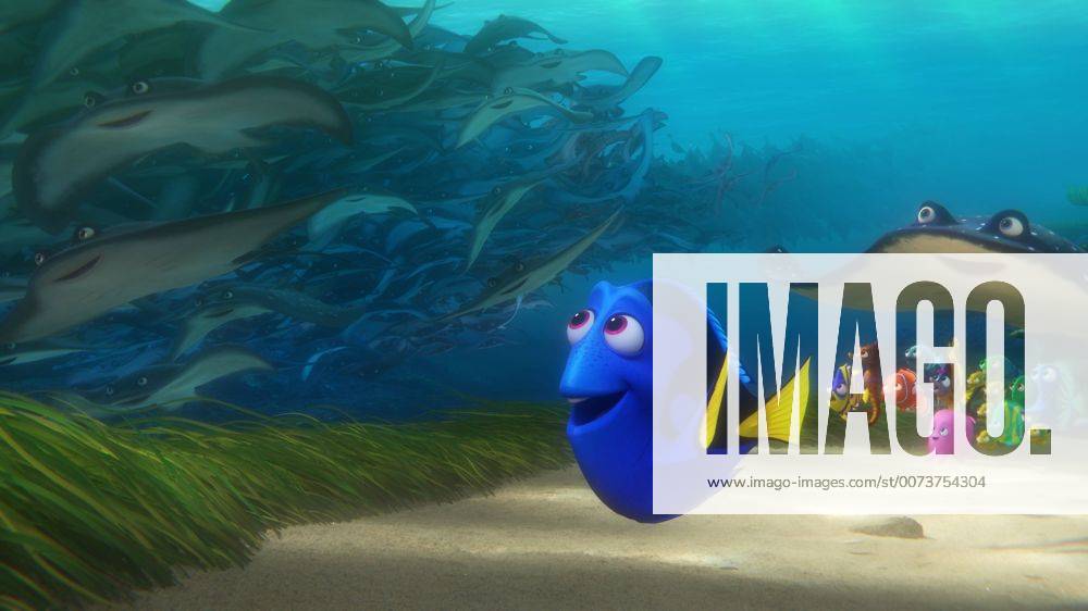 RELEASE DATE: June 17, 2016 TITLE: Finding Dory STUDIO: DIRECTOR: Andrew Stanton, Angus MacLane PLOT: The friendly-but-forgetful blue tang fish reunites with her loved ones, and everyone learns a few things about the real meaning of family along the way STARRING: Ellen DeGeneres, Albert Brooks, Ed O Neill (Credit: © Pixar Entertainment Pictures ZUMAPRESS.com Los Angeles U.S. - ZUMAg90_