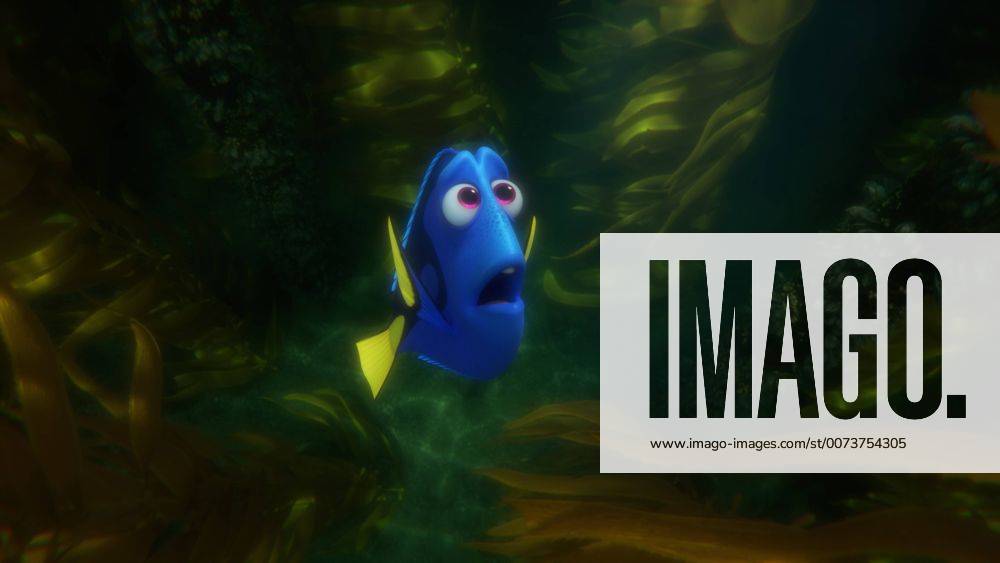 RELEASE DATE: June 17, 2016 TITLE: Finding Dory STUDIO: DIRECTOR: Andrew Stanton, Angus MacLane PLOT: The friendly-but-forgetful blue tang fish reunites with her loved ones, and everyone learns a few things about the real meaning of family along the way STARRING: Ellen DeGeneres, Albert Brooks, Ed O Neill (Credit: © Pixar Entertainment Pictures ZUMAPRESS.com Los Angeles U.S. - ZUMAg90_