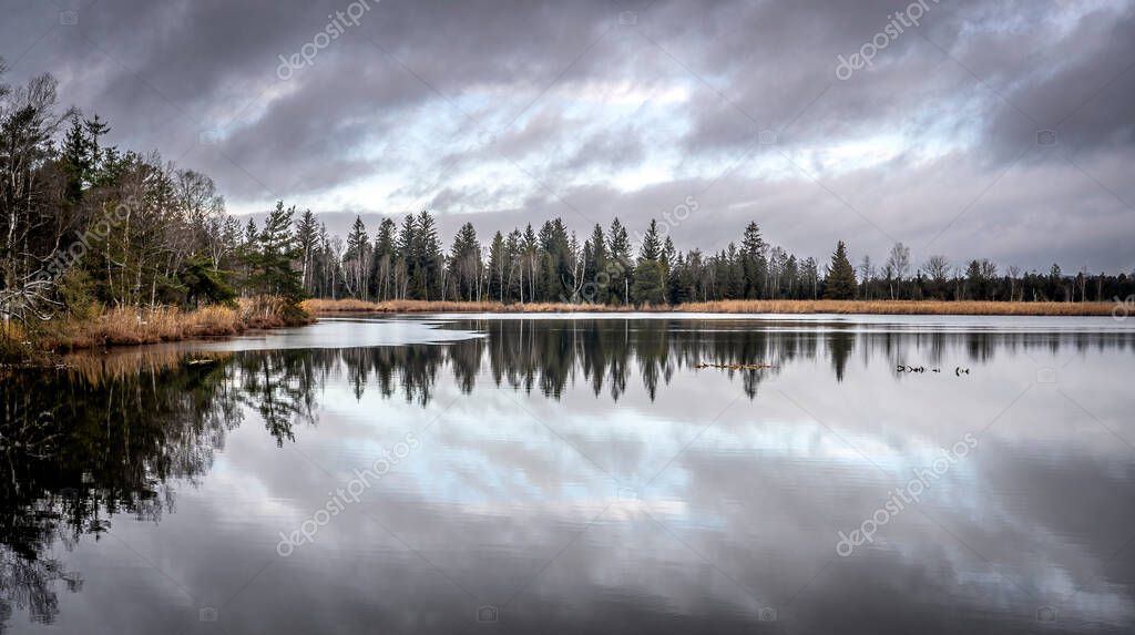 Landscape in november mood in the post glacial high moor of the Wurzacher Ried in the Allgau area, Baden-Wuerttemberg, Germany