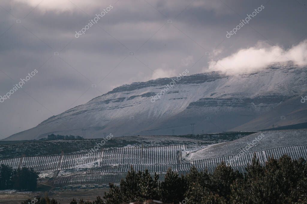 A beautiful landscape view of trees under snow cliffs against a gray sky in Matroosberg, South Africa