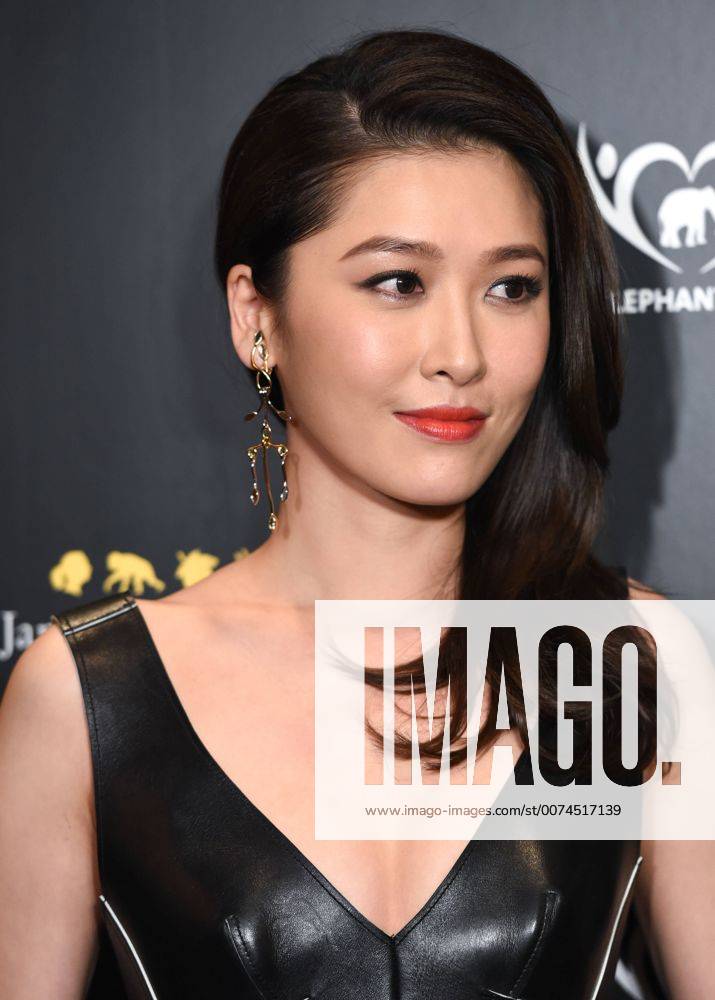 Hong Kong, Hong Kong S.A.R, China - Niki Chow ,Hong Kong actress and Cantopop singer, attends the The ÒHope for Wildlifeà Gala Dinner to raise awareness for the plight of endangered animals the world over..10th November 2016. Photo by . Hong Kong China - ZUMAr144 20161110_zap_r144_007