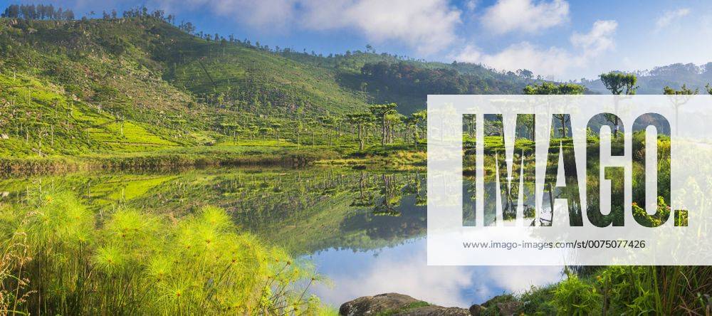 Lake at Haputale, Nuwara Eliya District, Sri Lanka Hill Country, Sri Lanka, Asia