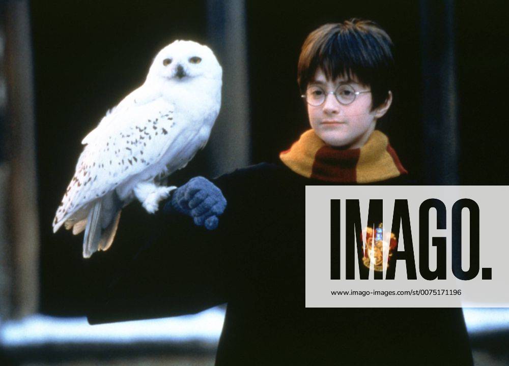 Harry Potter und der Stein der Weisen, (HARRY POTTER AND THE SORCERER S STONE) GB-USA 2001, Regie: Chris Columbus, DANIEL RADCLIFFE, Stichwort: Eule, Brille UnitedArchives00018360