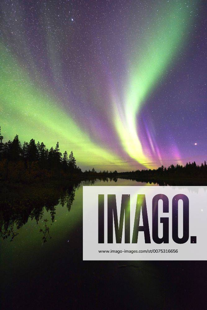 Nordlicht (Aurora borealis) spiegelt sich in einem See, Schweden, Lappland, Norrbotten, Muddus Nationalpark polar lights reflecting in a lake, Sweden, Lapland, Norrbotten, Muddus NP BLWS441852