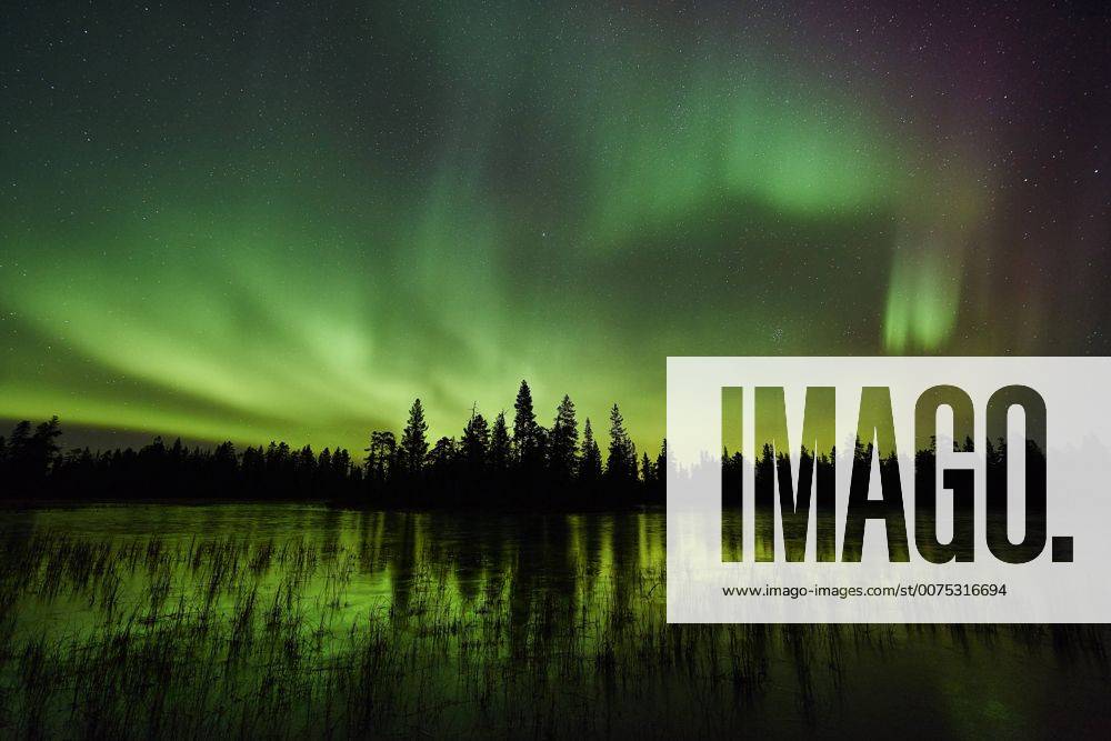 Nordlicht (Aurora borealis) spiegelt sich in einem See, Schweden, Lappland, Norrbotten, Muddus Nationalpark polar lights reflecting in a lake, Sweden, Lapland, Norrbotten, Muddus NP BLWS441865