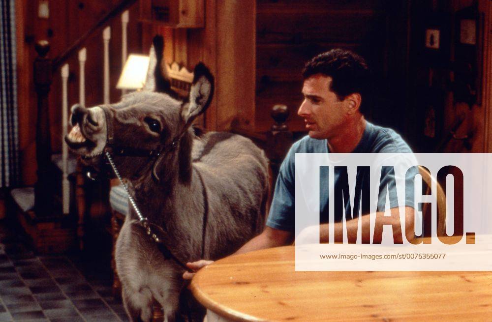 Full House, Sitcom, USA 1987 - 1995, Staffel 8, Episode 6: You Pet It, You Bought It , USA 1988, Darsteller: Bob Saget