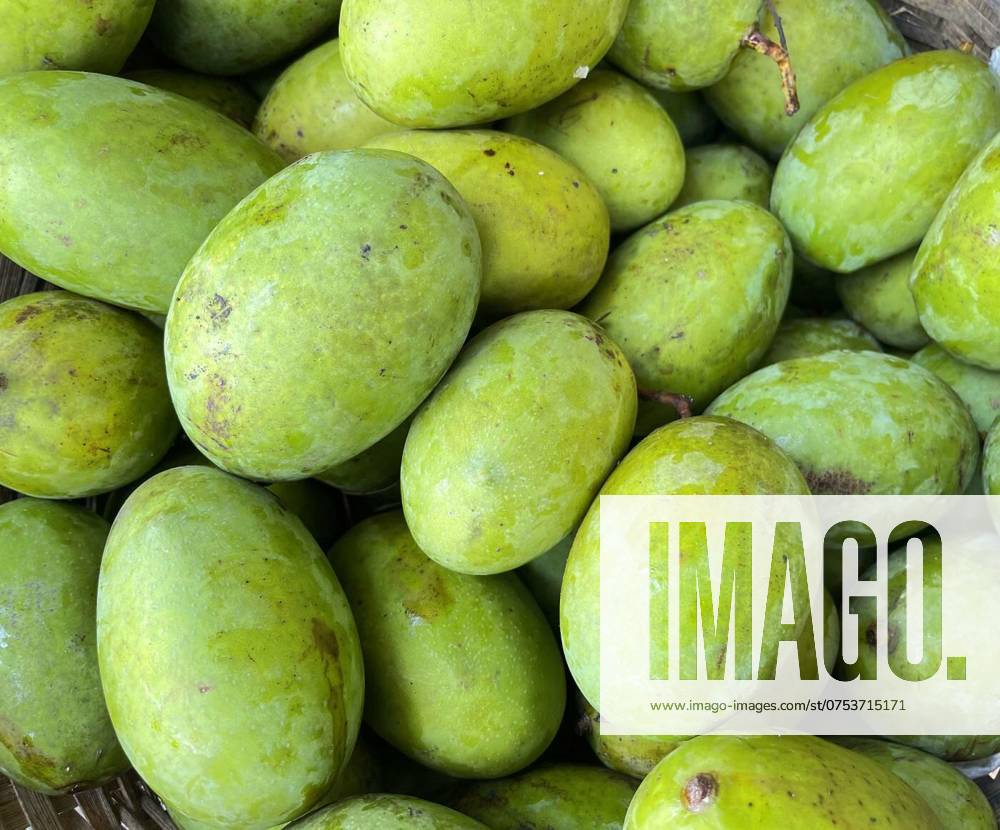 Kweni mango or mangifera odorata, the most fragrant mangoes fruit, Kweni mango or mangifera odorata, the most fragrant mangoes fruit in the world, Kweni mango or mangifera odorata, the most fragrant mangoes fruit in the world, 03.03.2024,