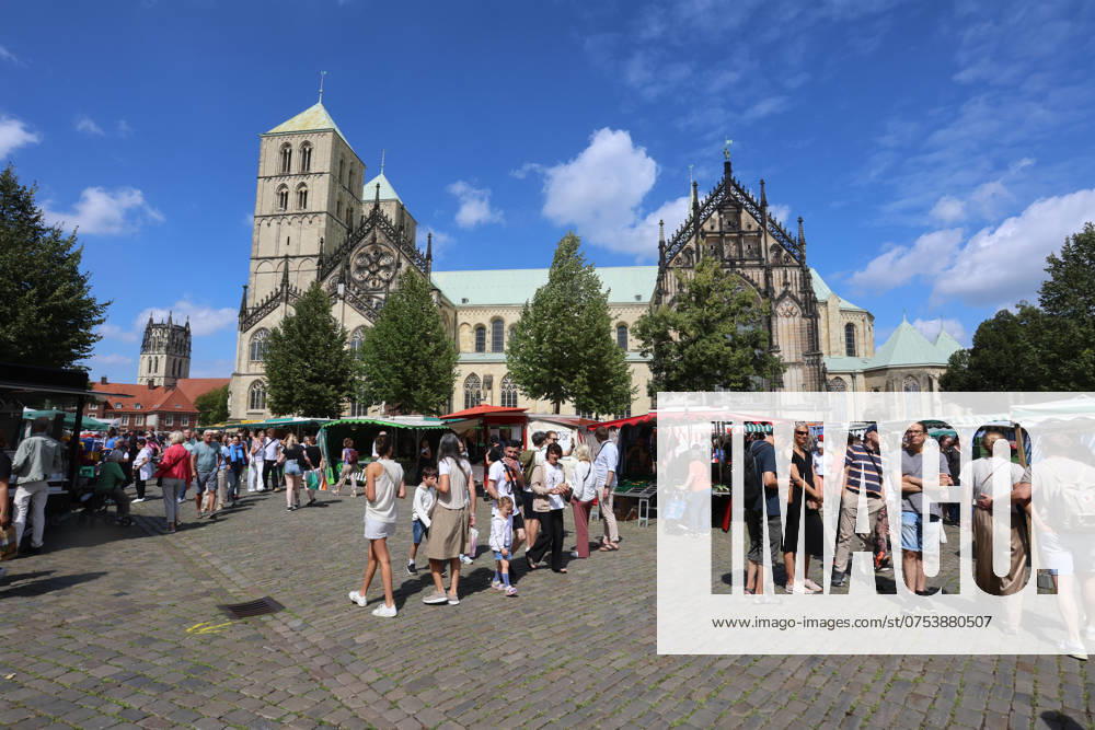 Wochenmarkt auf dem Domplatz. Münster, Nordrhein-Westfalen, DEU, Deutschland