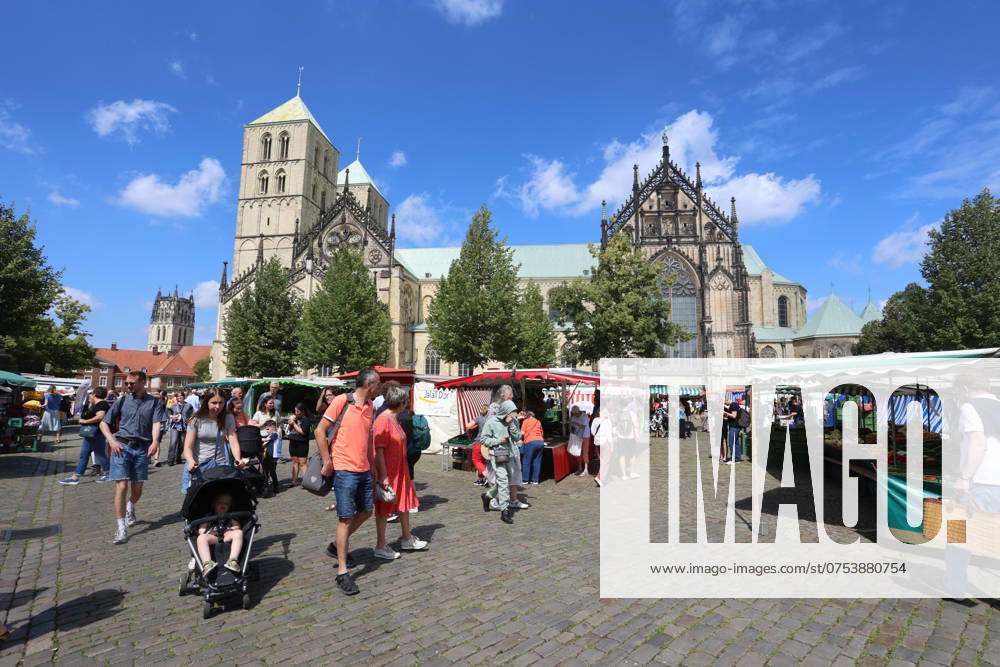 Wochenmarkt auf dem Domplatz. Münster, Nordrhein-Westfalen, DEU, Deutschland