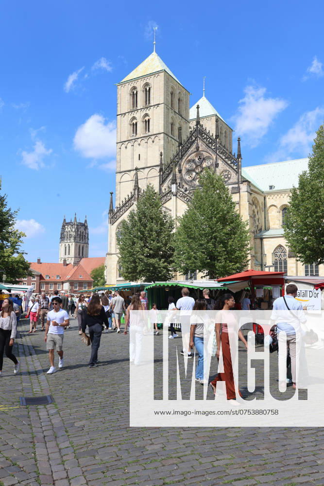 Wochenmarkt auf dem Domplatz. Münster, Nordrhein-Westfalen, DEU, Deutschland