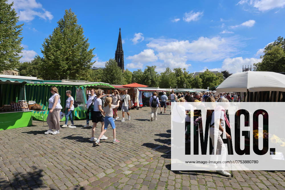 Wochenmarkt auf dem Domplatz. Münster, Nordrhein-Westfalen, DEU, Deutschland