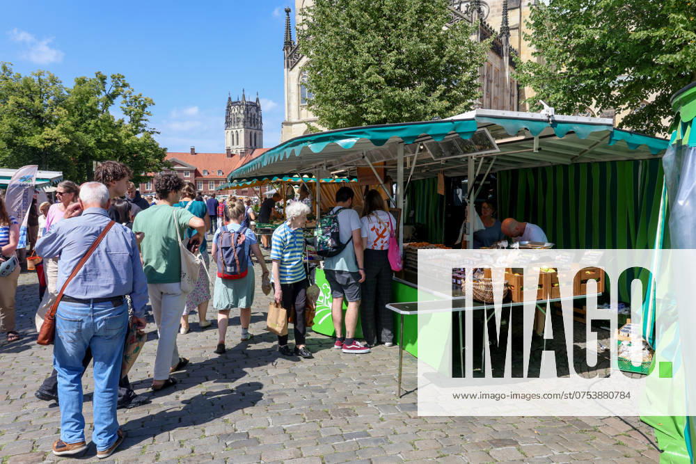 Wochenmarkt auf dem Domplatz. Münster, Nordrhein-Westfalen, DEU, Deutschland