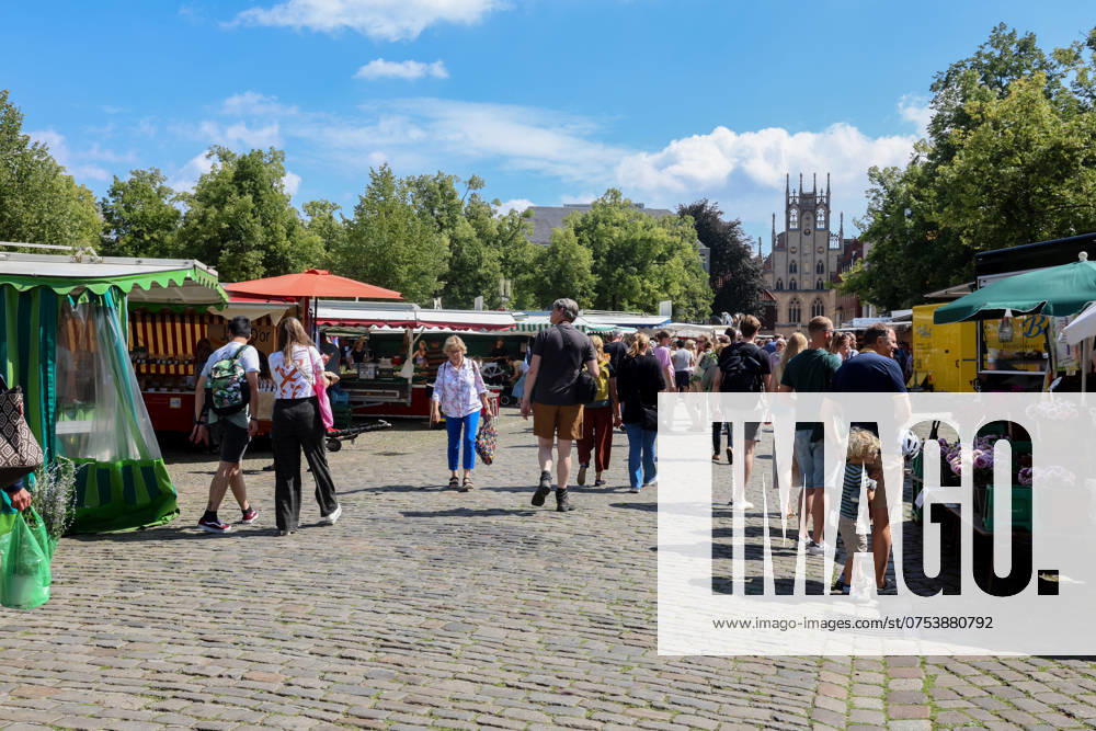 Wochenmarkt auf dem Domplatz. Münster, Nordrhein-Westfalen, DEU, Deutschland