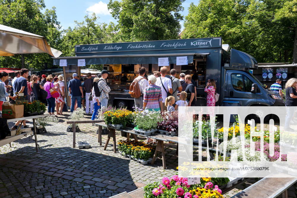Wochenmarkt auf dem Domplatz. Münster, Nordrhein-Westfalen, DEU, Deutschland